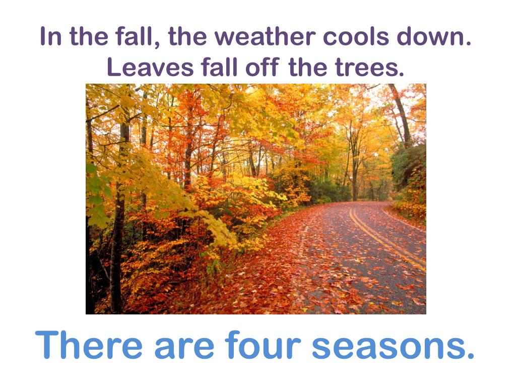 There are four seasons