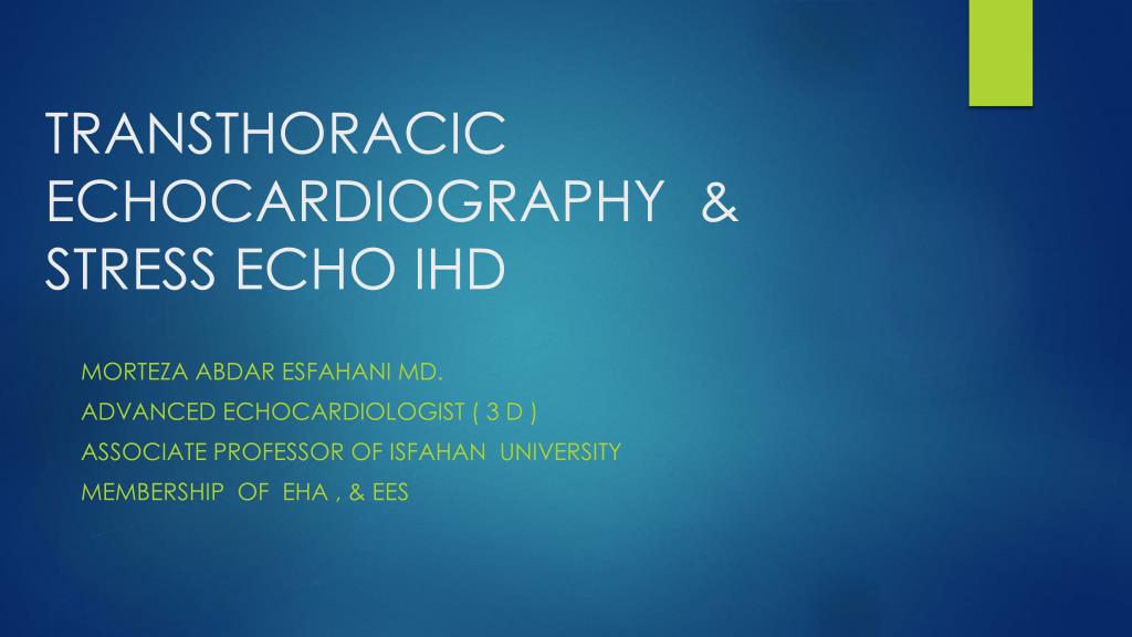 PPT - TRANSTHORACIC ECHOCARDIOGRAPHY & STRESS ECHO IHD PowerPoint ...