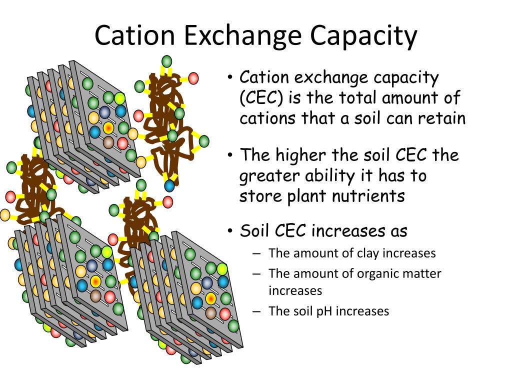 cation exchange capacity.