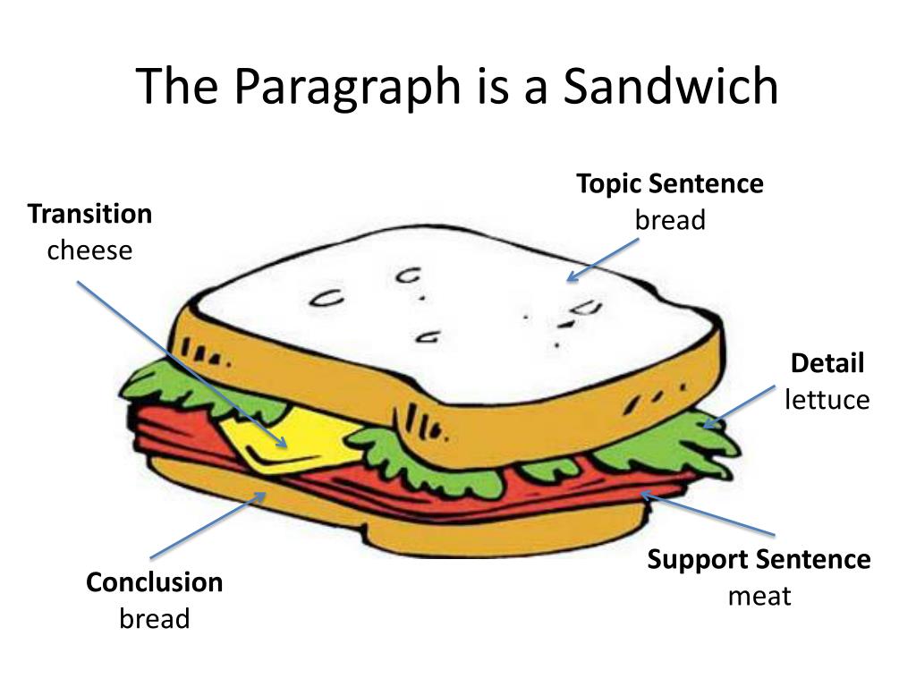 essay writing sandwich diagram example