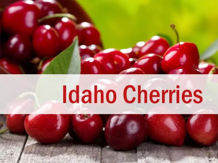 PPT Idaho Cherries PowerPoint Presentation, free download ID2499276
