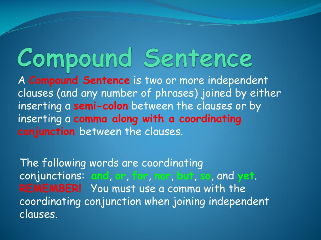 Sentences in english