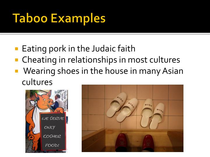 ppt do now would you do the following things why or why not