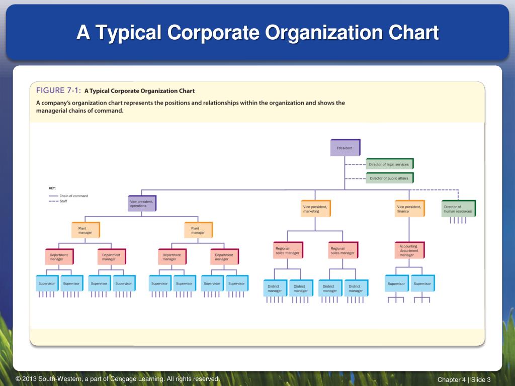 Typical Corporate Org Chart