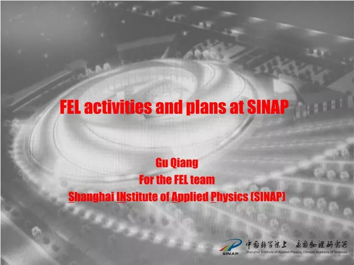 fel activities and plans at sinap n.