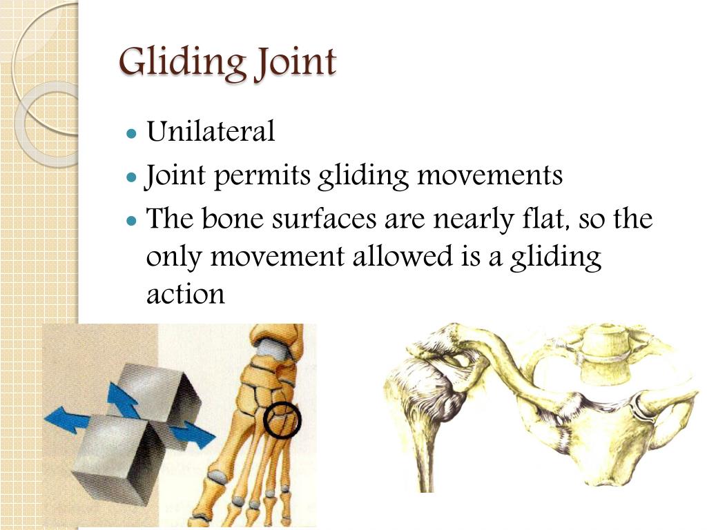 PPT - Joints of the human body PowerPoint Presentation, free download