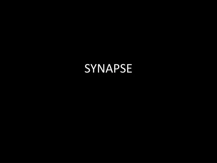 synapse n.