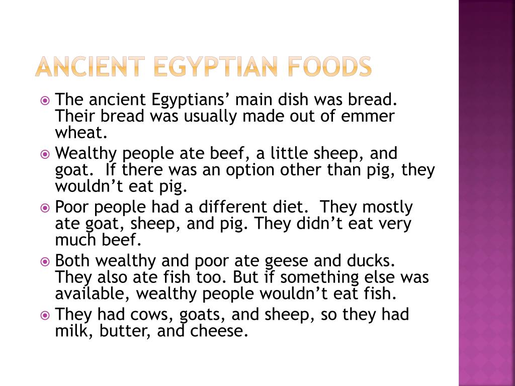 essay about food in egypt