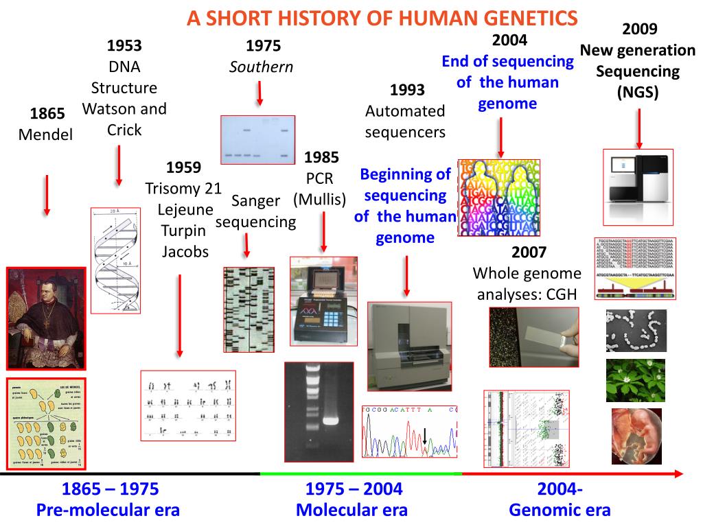 PPT - ITMO Genetics, Genomics and Bioinformatics PowerPoint ...