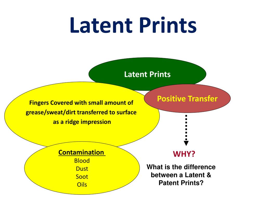 Latent Prints. Latent Patent Fingerprint. Latent Perception. Latent Learning.