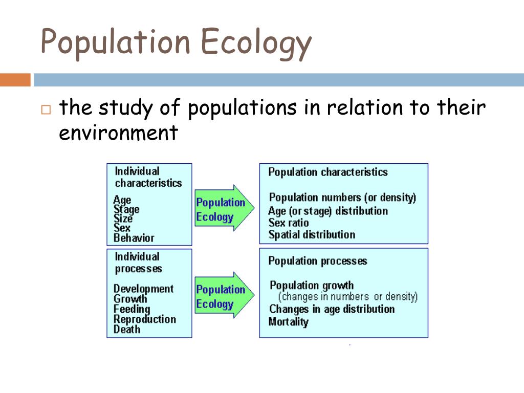 Population based. Population ecology. Ecological characteristics of the population. Overpopulation ecology. Population studies.