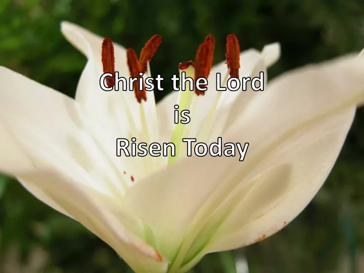christ the lord is risen today n.