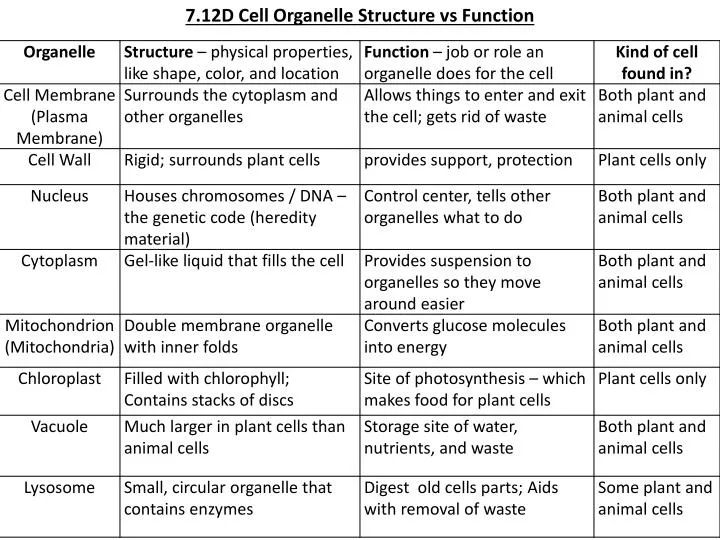 various cell organelles and their functions