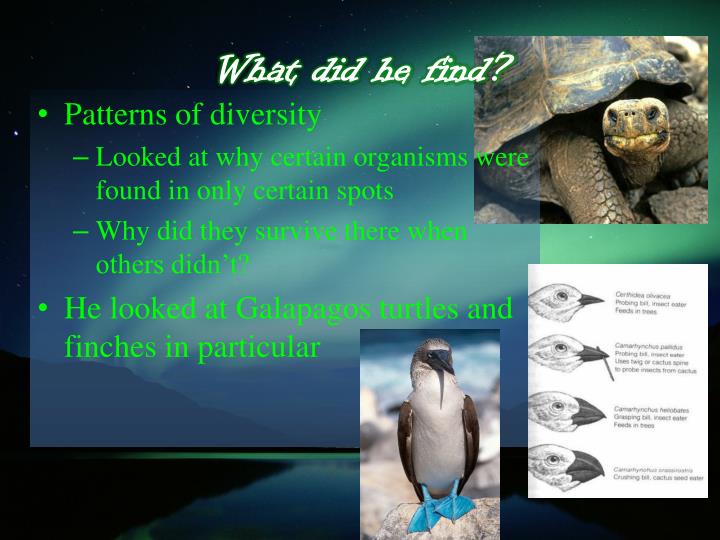 How Did Jean Baptiste Lamarck Influence Darwin S Theory Of Natural Selection How Did Jean Baptiste Lamarck Influence Darwin S Theory Of Natural Selection