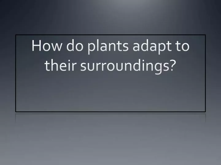 PPT How do plants adapt to their surroundings? PowerPoint