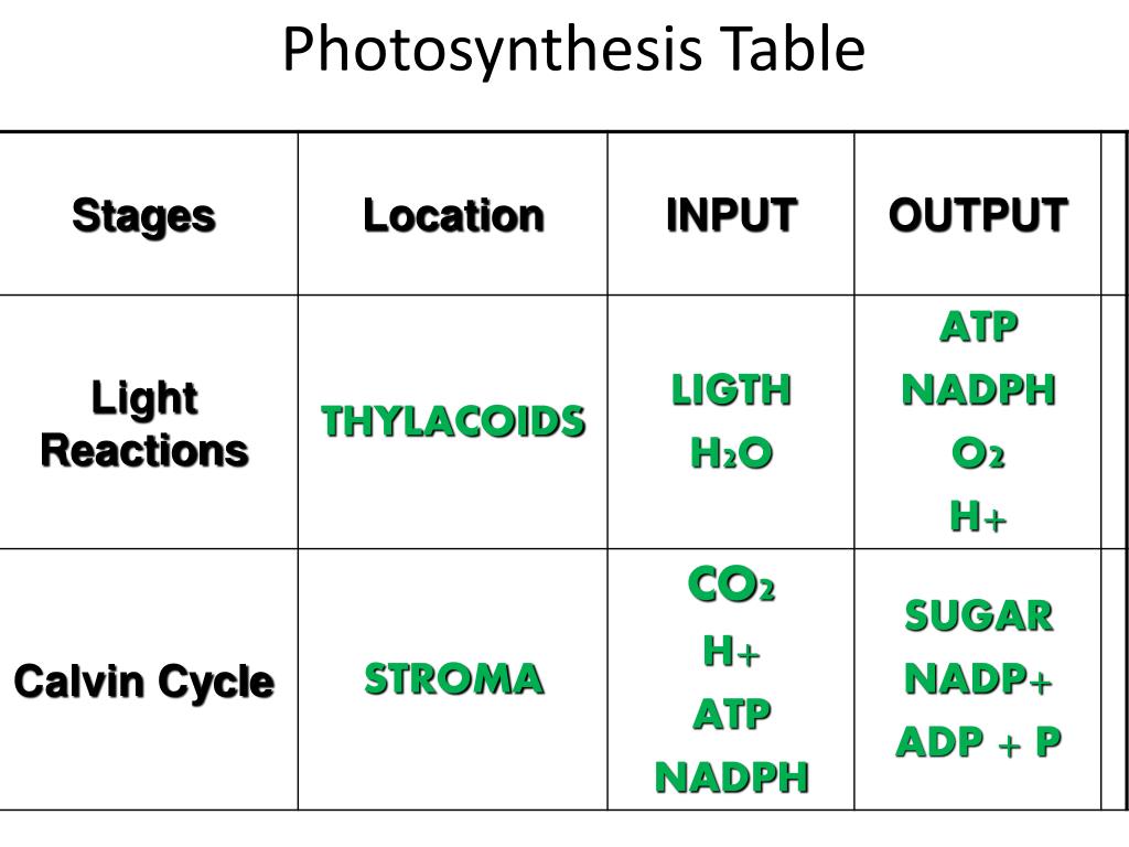 PPT Energy from Sunlight PowerPoint Presentation, free download ID