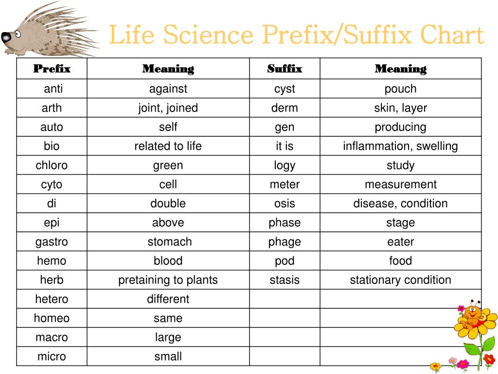 Prefix And Suffix Meaning Chart