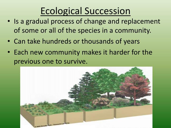 Ecological succession ppt