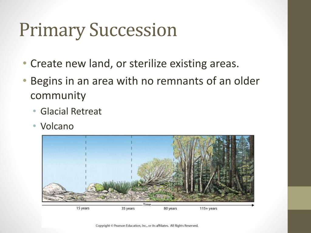 PPT - Succession PowerPoint Presentation, free download - ID:2510866