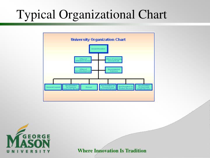 ppt jaime lester ph d associate professor powerpoint typical organizational chart