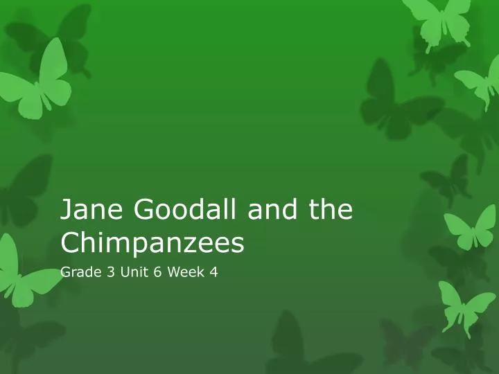 jane goodall chimpanzee language jane goodall chimpanzee language