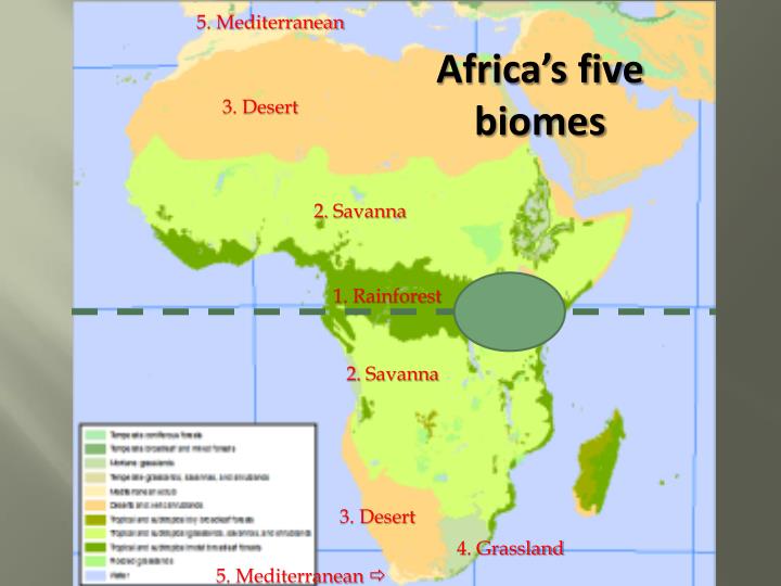 Biomes In Africa Map