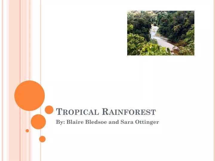 Ppt Tropical Rainforest Powerpoint Presentation Free Download Id 2514972