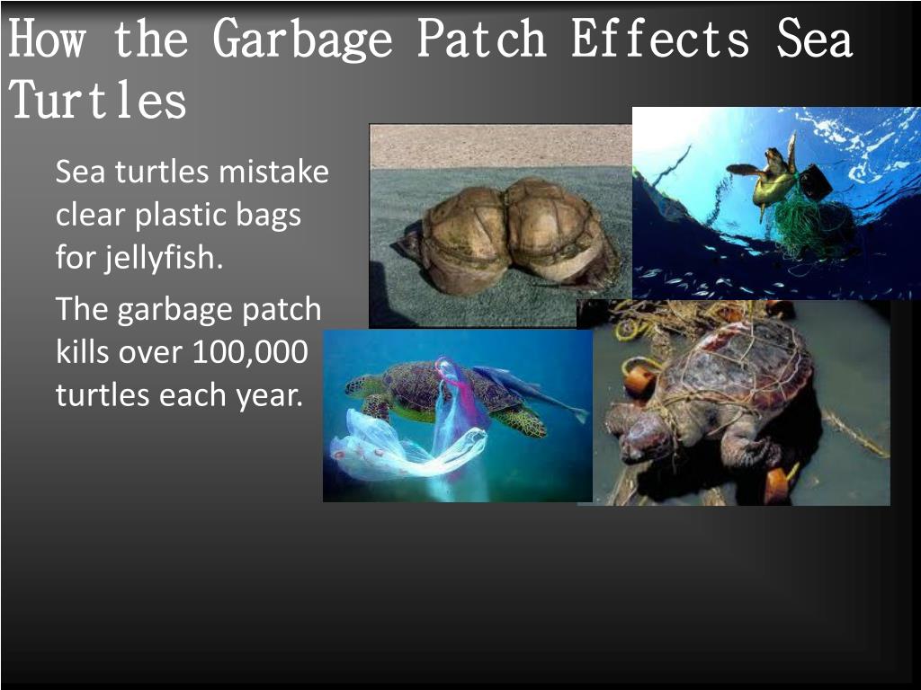 PPT The Garbage Patch PowerPoint Presentation, free download ID2515847