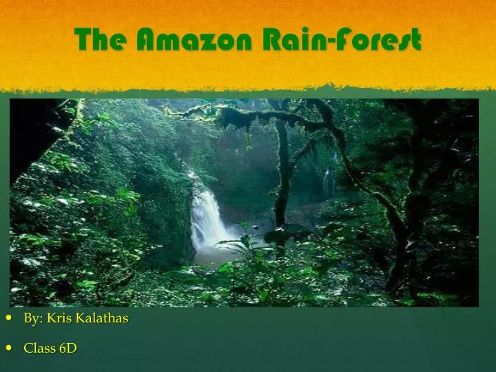 powerpoint presentation on amazon rainforest