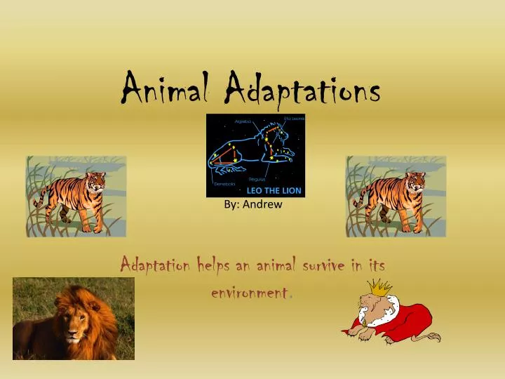 PPT - Animal Adaptations PowerPoint Presentation, free download - ID:2517011 PPT - Animal Adaptations PowerPoint Presentation, free download - ID:2517011