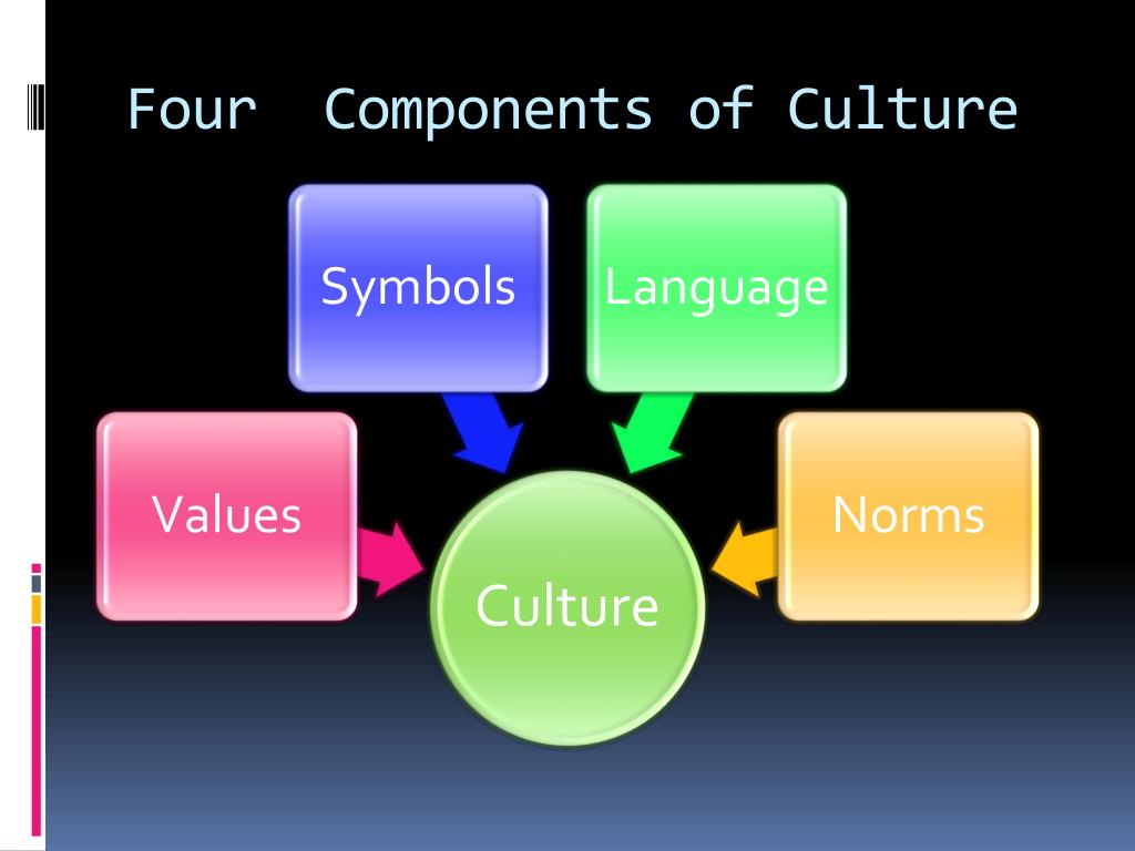 components of culture essay