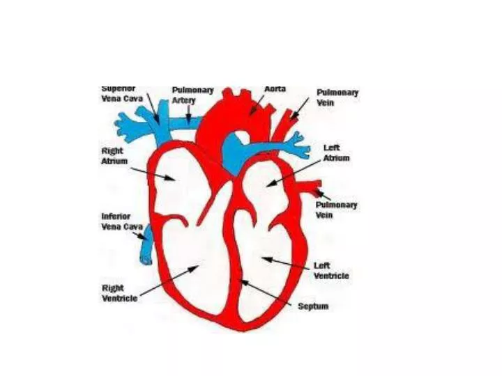 ppt-heart-disease-powerpoint-presentation-free-download-id-2518169