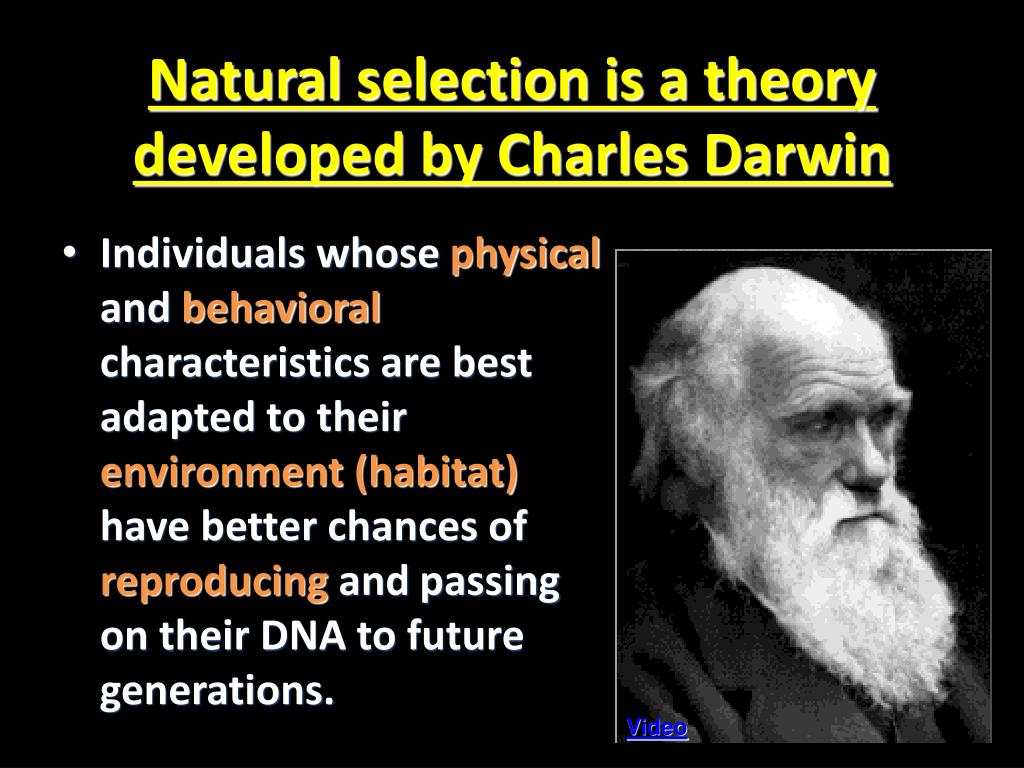 what is darwin's contribution to modern science essay