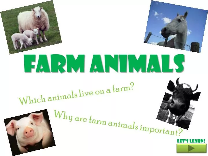 PPT - Farm Animals PowerPoint Presentation, free download - ID:2519901 PPT - Farm Animals PowerPoint Presentation, free download - ID:2519901