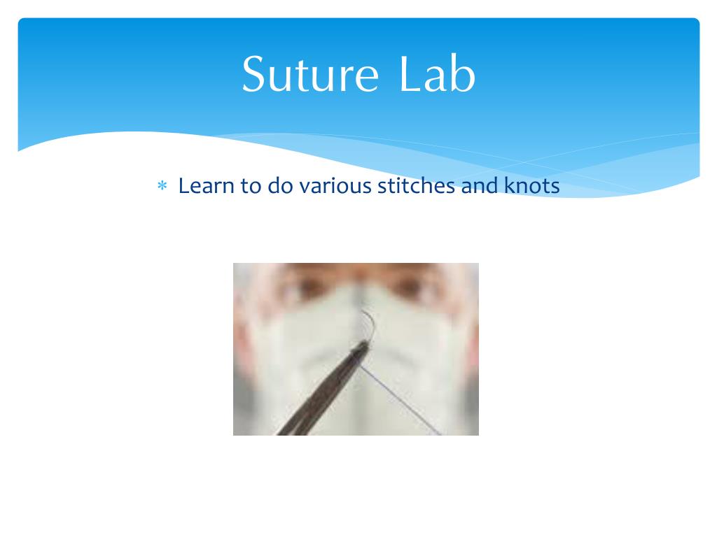 Lab Suture Example PPT - Join the Purdue Pre-Veterinary Medical Association: Events ...