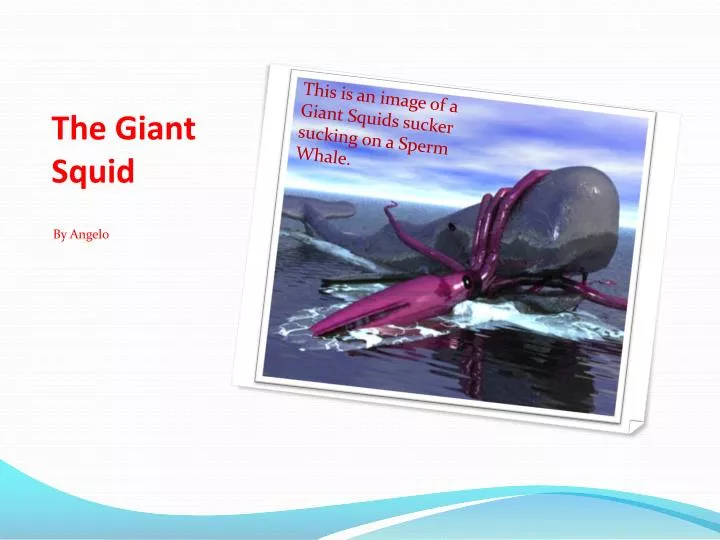 the giant squid n.
