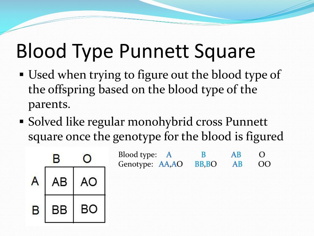 Blood Type Punnett Square