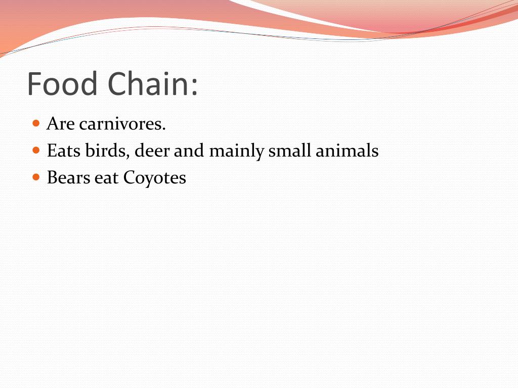 Coyotes PowerPoint Presentation free download Biology Diagrams