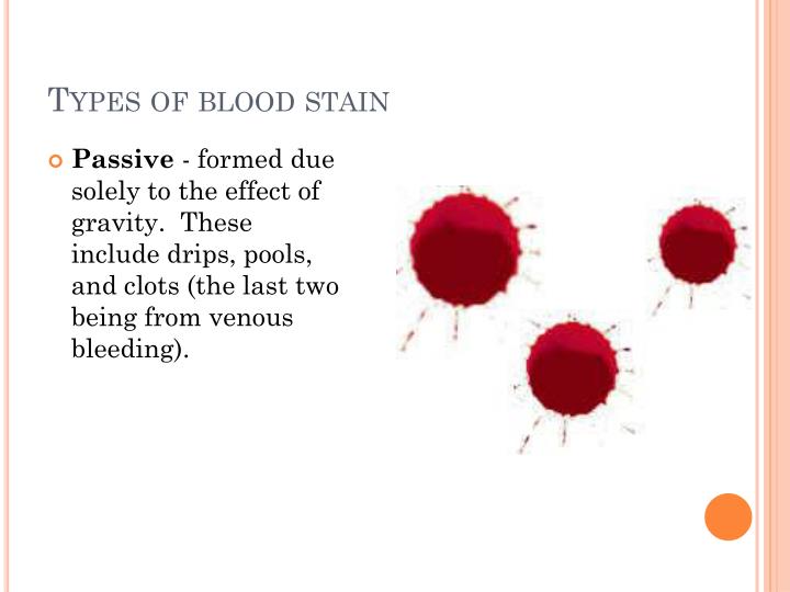 PPT - Blood stain analysis PowerPoint Presentation - ID:2521494