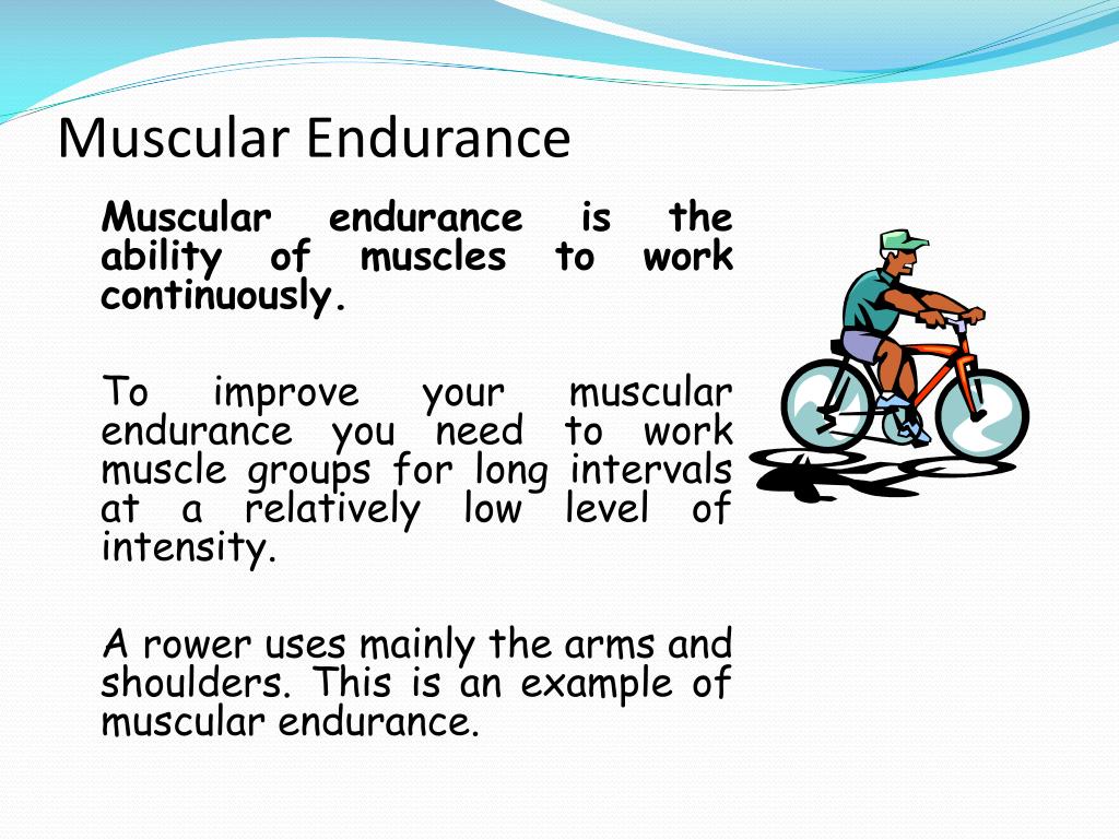 PPT - Muscular Endurance PowerPoint Presentation, free -
