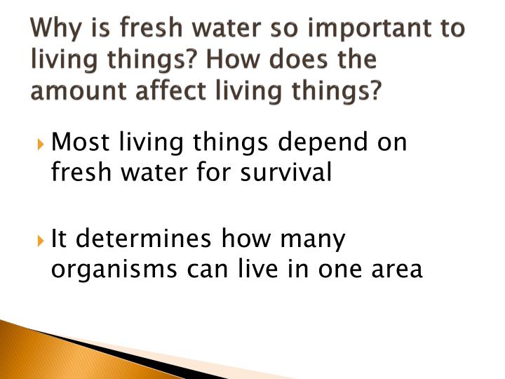 why is water important in living organisms essay Essays related to properties of water and its role in this is an important property that affects the also many organisms living in water spend most of. why is water important in living organisms essay Essays related to properties of water and its role in this is an important property that affects the also many organisms living in water spend most of.