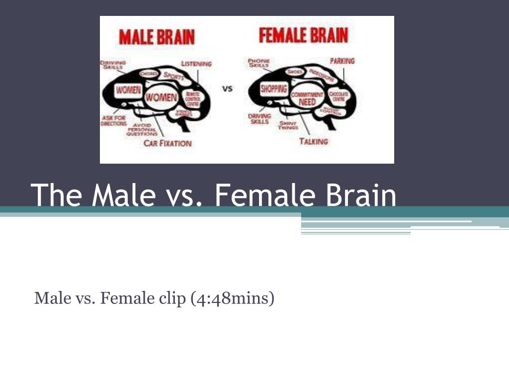 Ppt The Male Vs Female Brain Powerpoint Presentation Free Download