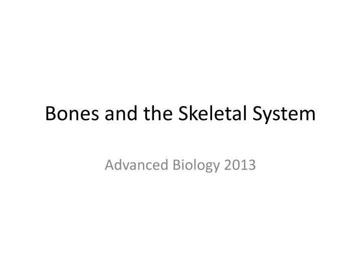 bones and the skeletal system n.