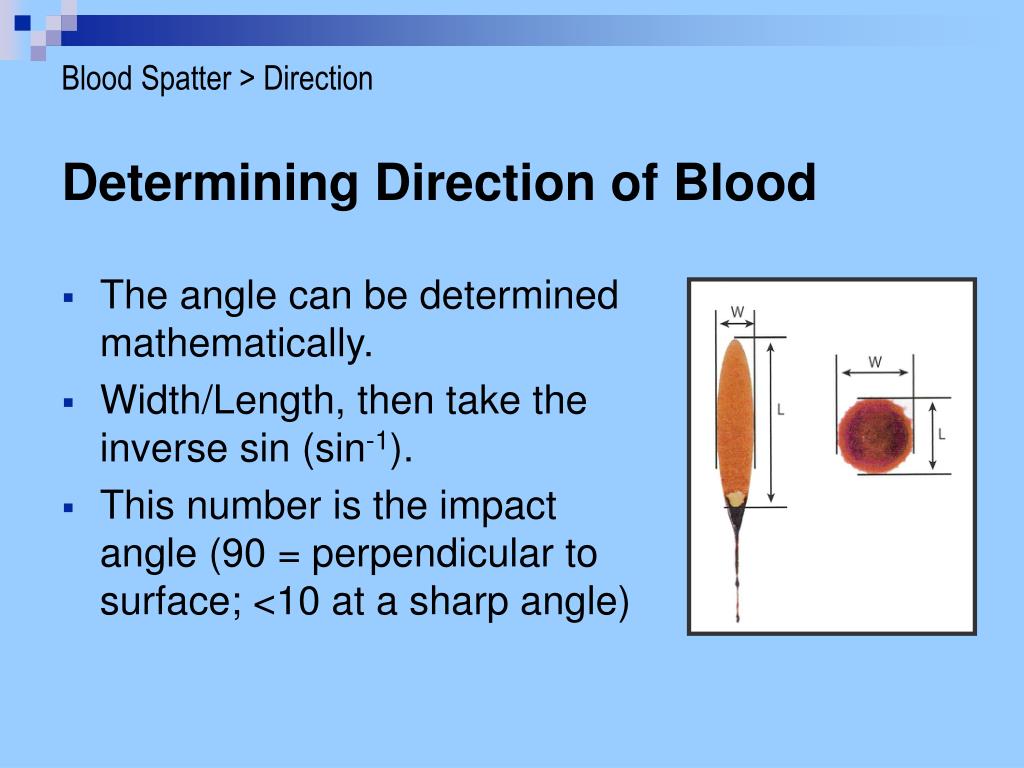 PPT - Bloodstain Pattern Analysis PowerPoint Presentation, free