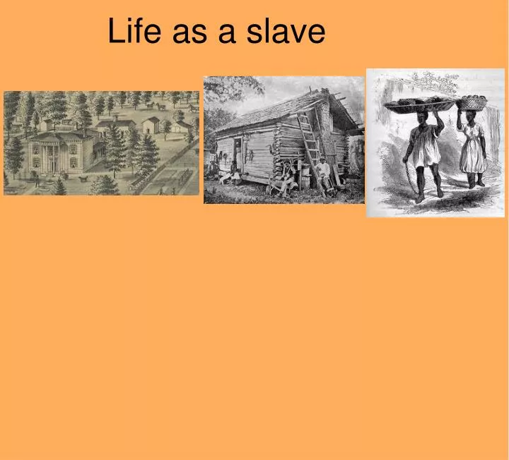 Ppt Life As A Slave Powerpoint Presentation Free Download Id