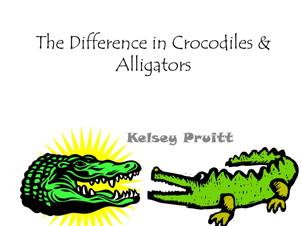 Crocodile vs. Alligator: What's the Difference? - Confused Words