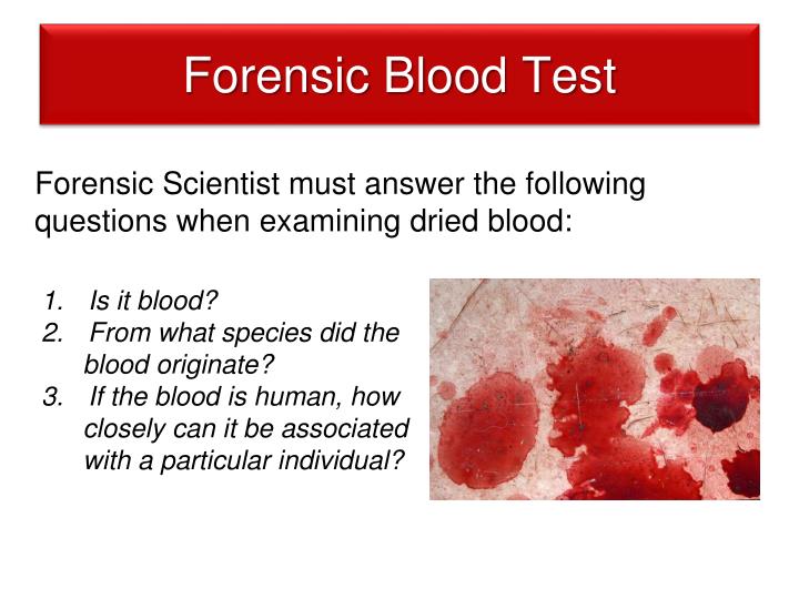 PPT Chapter 8 Forensic Serology PowerPoint Presentation ID2526452 PPT Chapter 8 Forensic Serology PowerPoint Presentation ID2526452