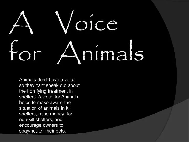 PPT - A Voice for Animals PowerPoint Presentation, free download -  ID:2526712