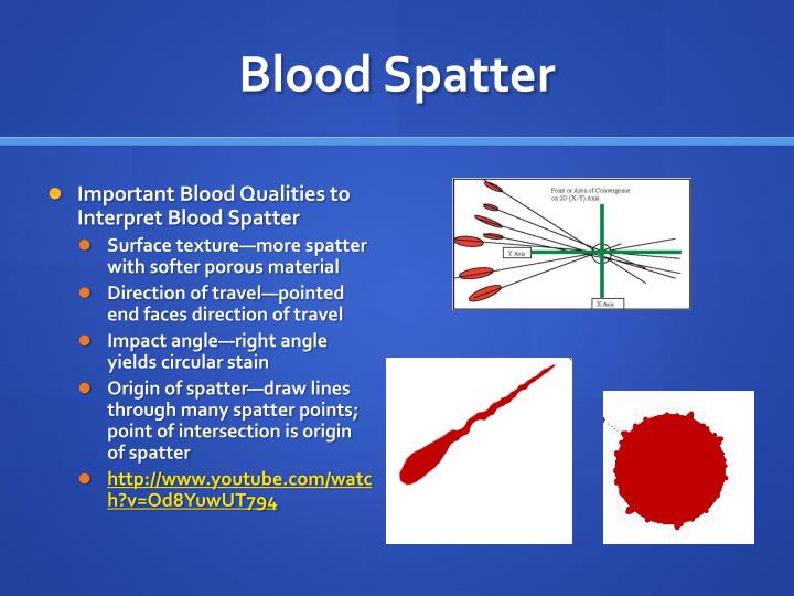 PPT - Forensic Serology PowerPoint Presentation - ID:2526886