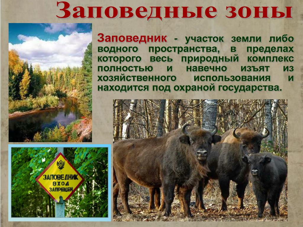 Как называется охраняемая природная территория. Заповедники и национальные парки. Заповедники и национальные парки России. Охраняемые зоны природы. Охрана природы заповедники.